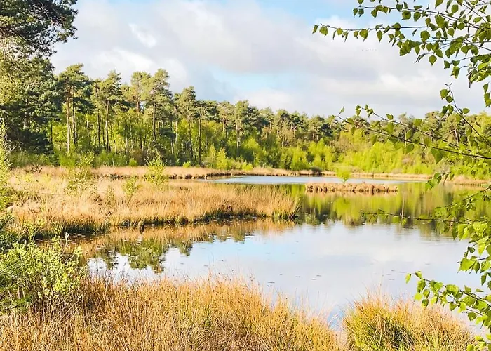 Zonnepracht Met Airco En Vrij Uitzicht! Chalet Oisterwijk