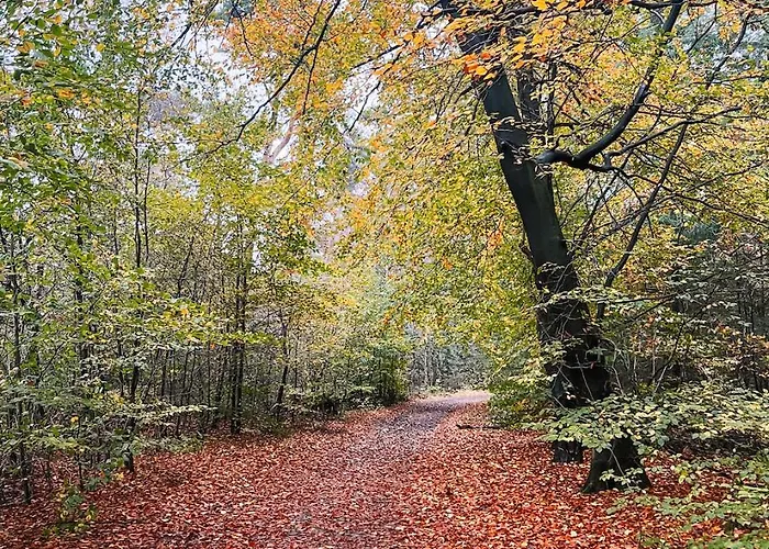 Zonnepracht Met Airco En Vrij Uitzicht! *